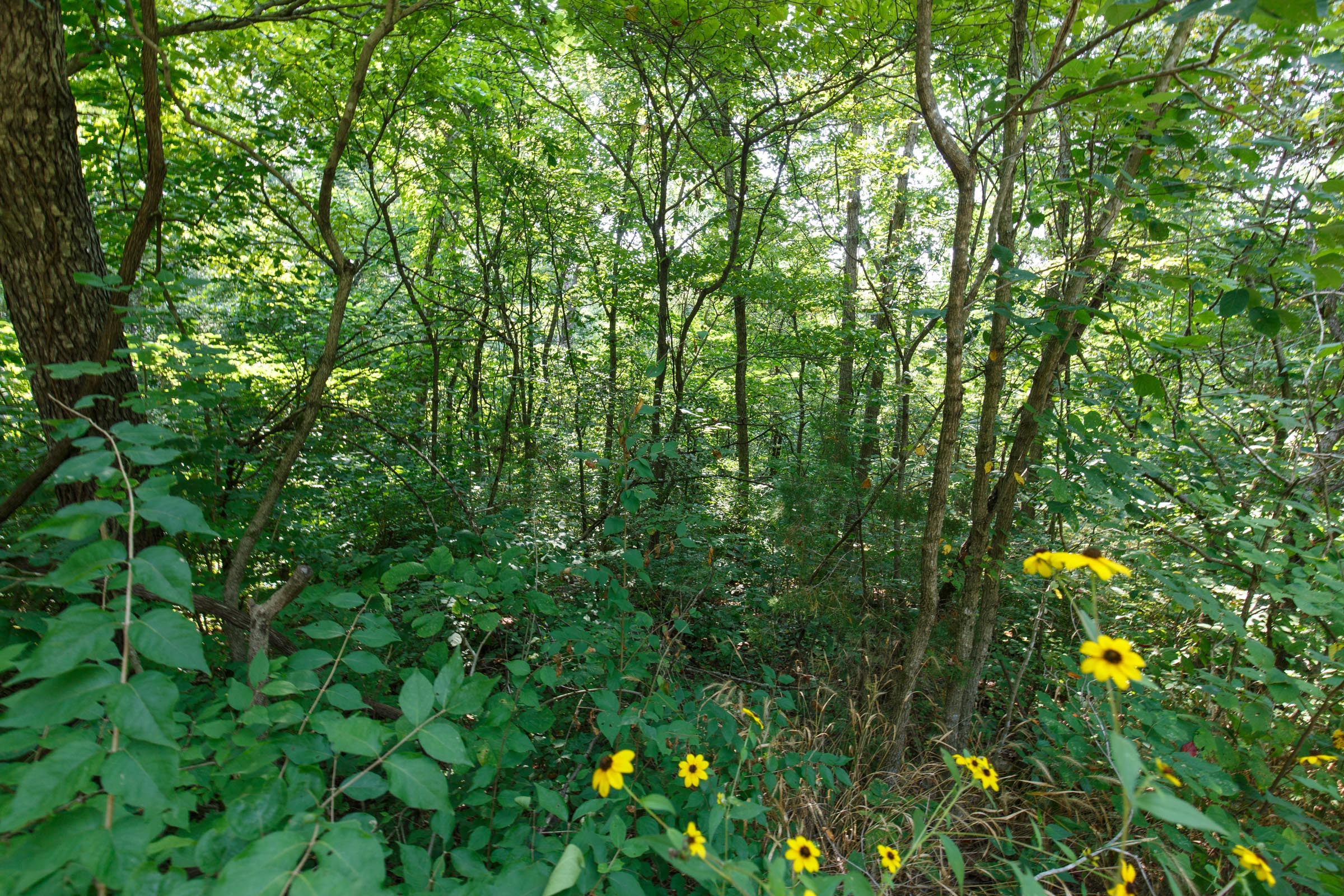 Tract 12 at Springlake in Miller County, Missouri