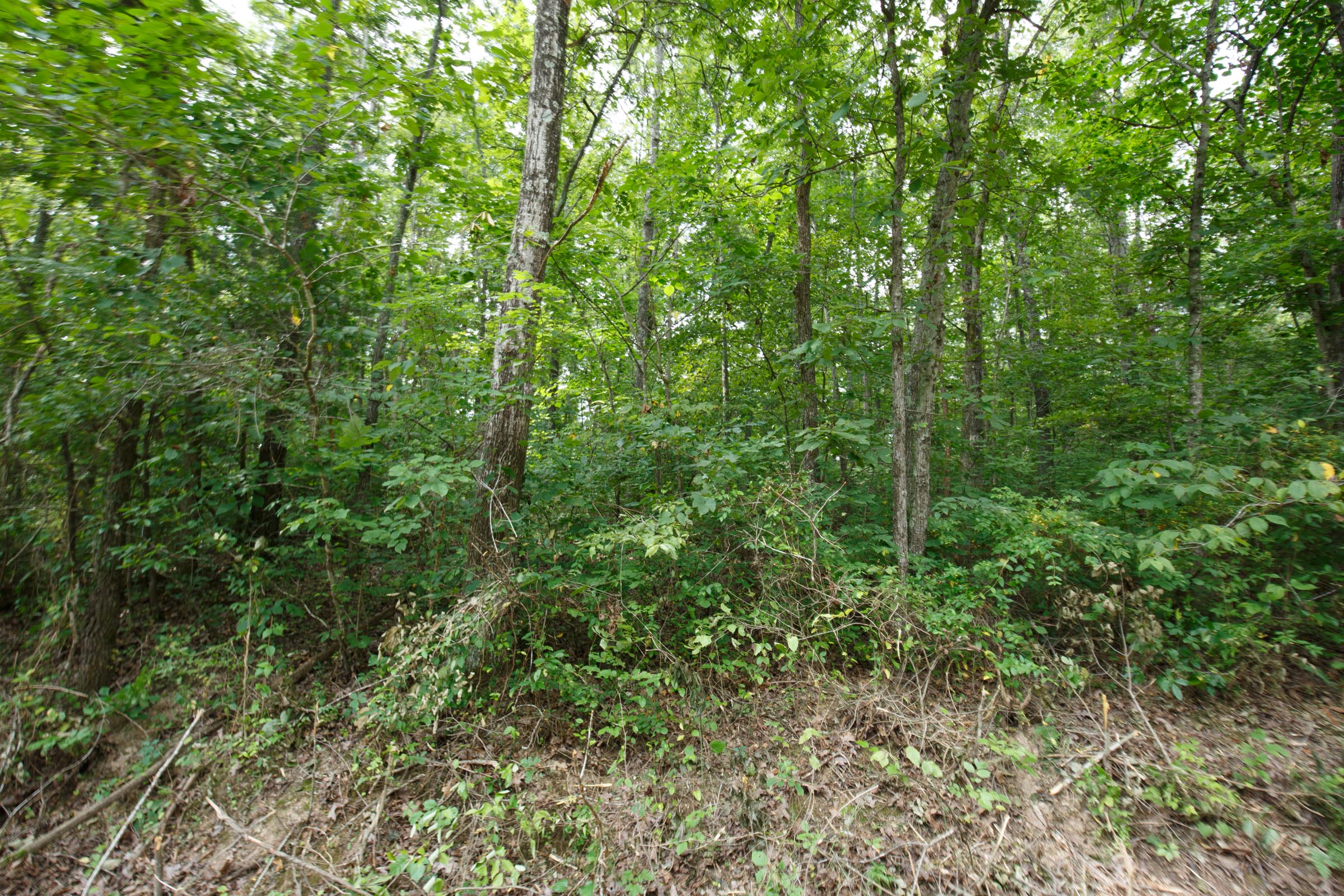 Tract 57 at Springlake in Miller County, Missouri