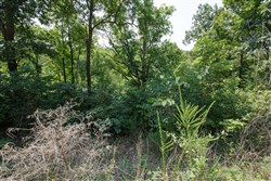 property photo for Springlake Plat 4 Tract 116, 0.2 acres for sale in Miller County, Missouri