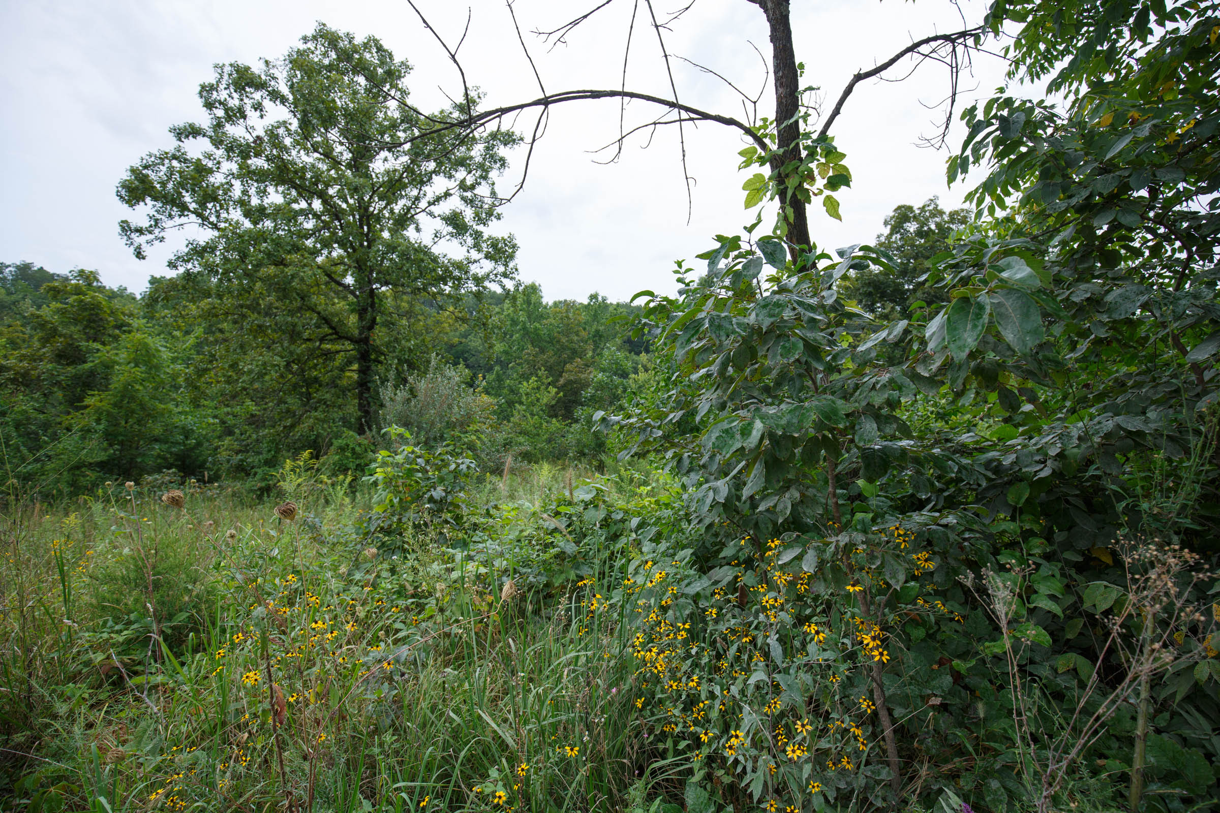 Tract 174 at Springlake in Miller County, Missouri