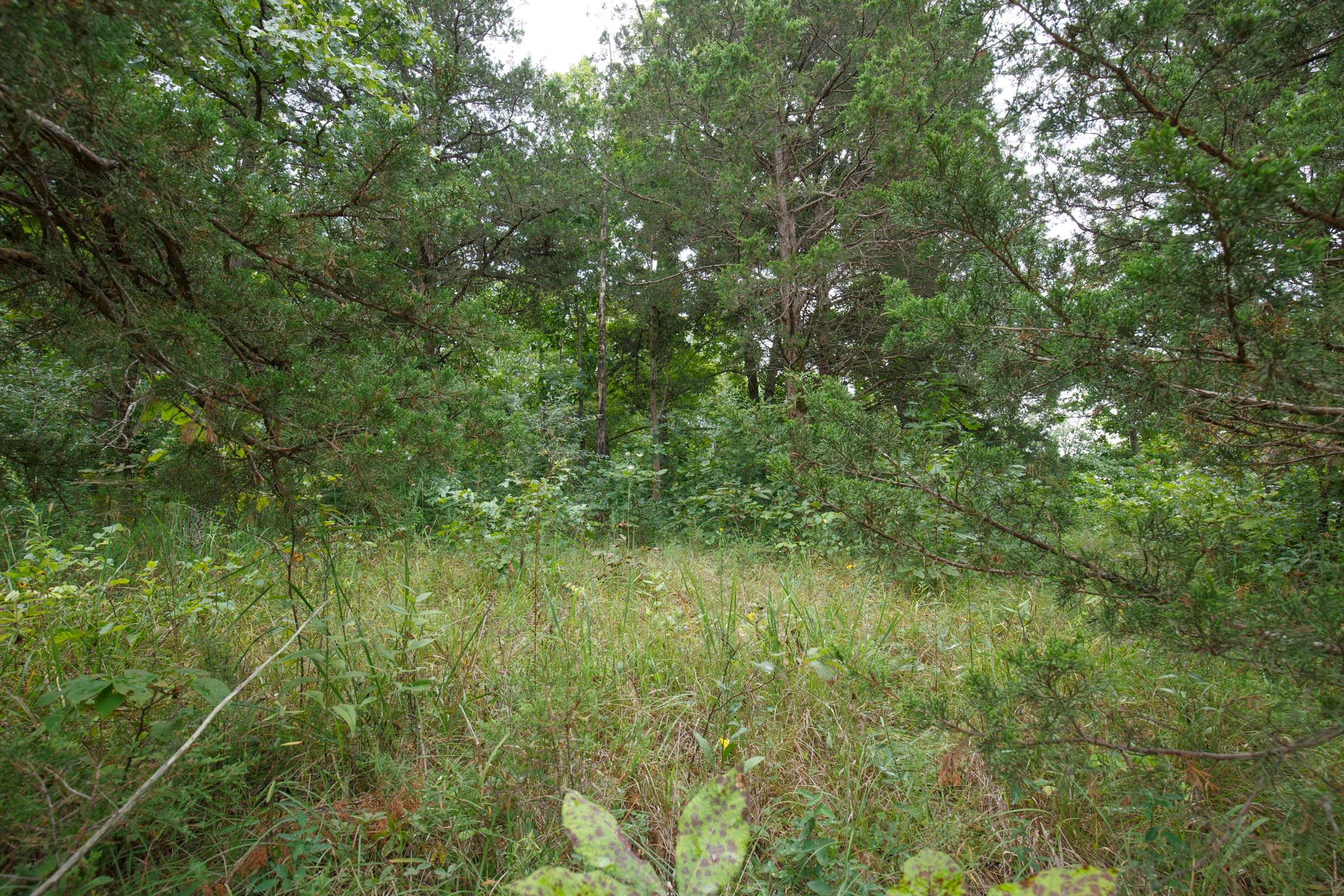 Tract 177 at Springlake in Miller County, Missouri