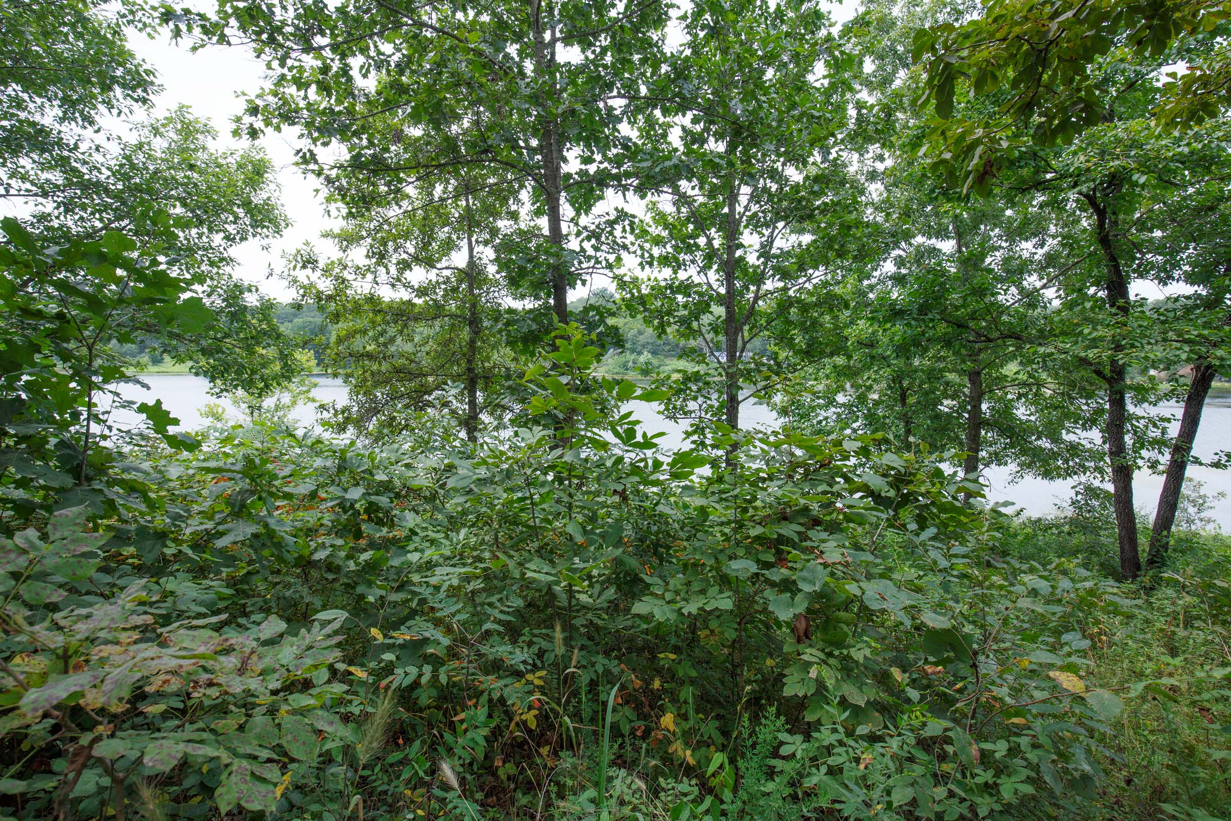 Tract 31 at Springlake in Miller County, Missouri