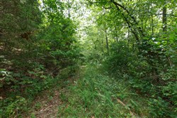 property photo for Springlake Plat 5 Tract 325, 0.2 acres for sale in Miller County, Missouri