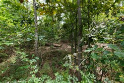property photo for Springlake Plat 5 Tract 325, 0.2 acres for sale in Miller County, Missouri