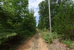 property photo for Springlake Plat 5 Tract 341, 0.19 acres for sale in Miller County, Missouri