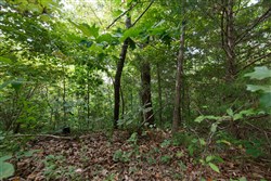 property photo for Springlake Plat 5 Tract 341, 0.19 acres for sale in Miller County, Missouri