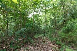 property photo for Springlake Plat 5 Tract 341, 0.19 acres for sale in Miller County, Missouri