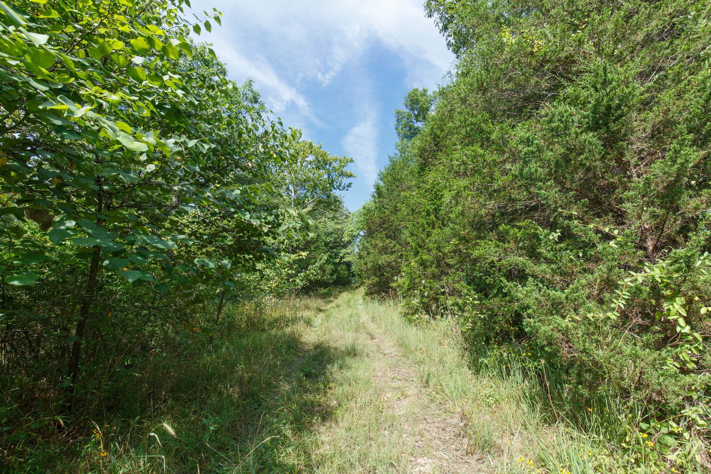 Tract 153 at Springlake in Miller County, Missouri