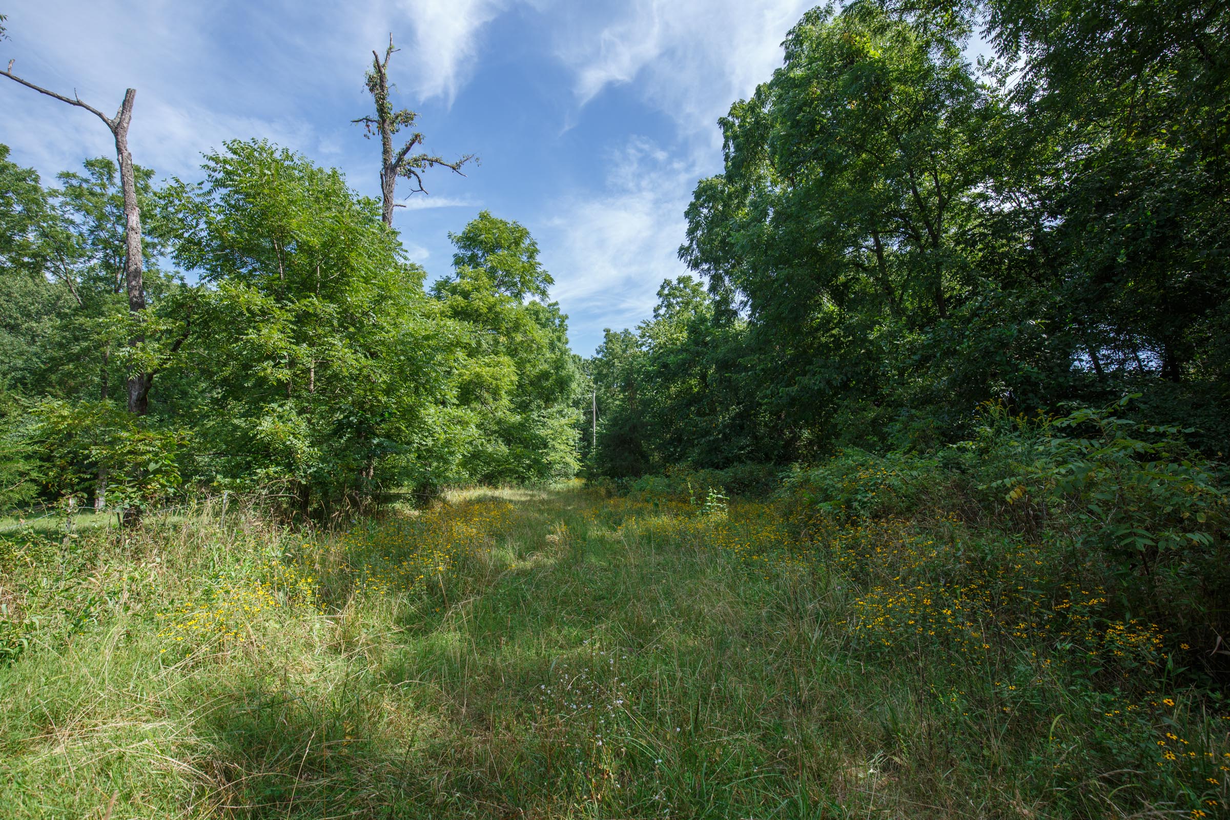 Tract 157 at Springlake in Miller County, Missouri