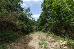 property photo for Springlake Plat 6 Tract 28, 0.19 acres for sale in Miller County, Missouri