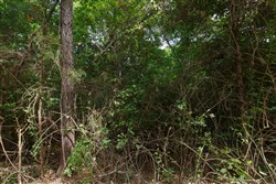 property photo for Springlake Plat 6 Tract 57, 0.19 acres for sale in Miller County, Missouri