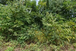 property photo for Springlake Plat 6 Tract 57, 0.19 acres for sale in Miller County, Missouri