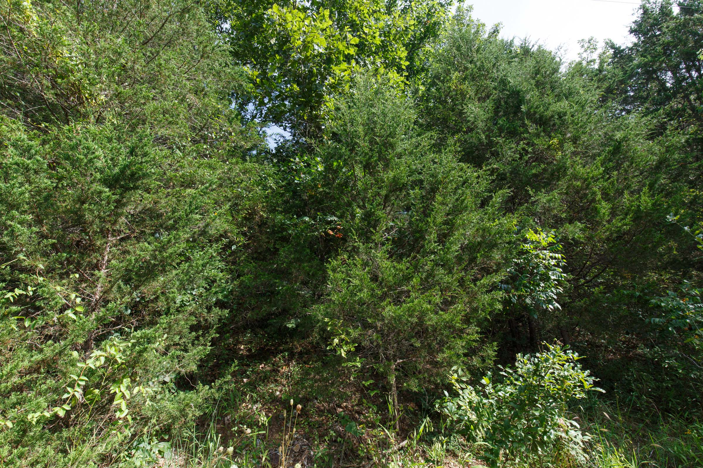 Tract 6 at Springlake in Miller County, Missouri