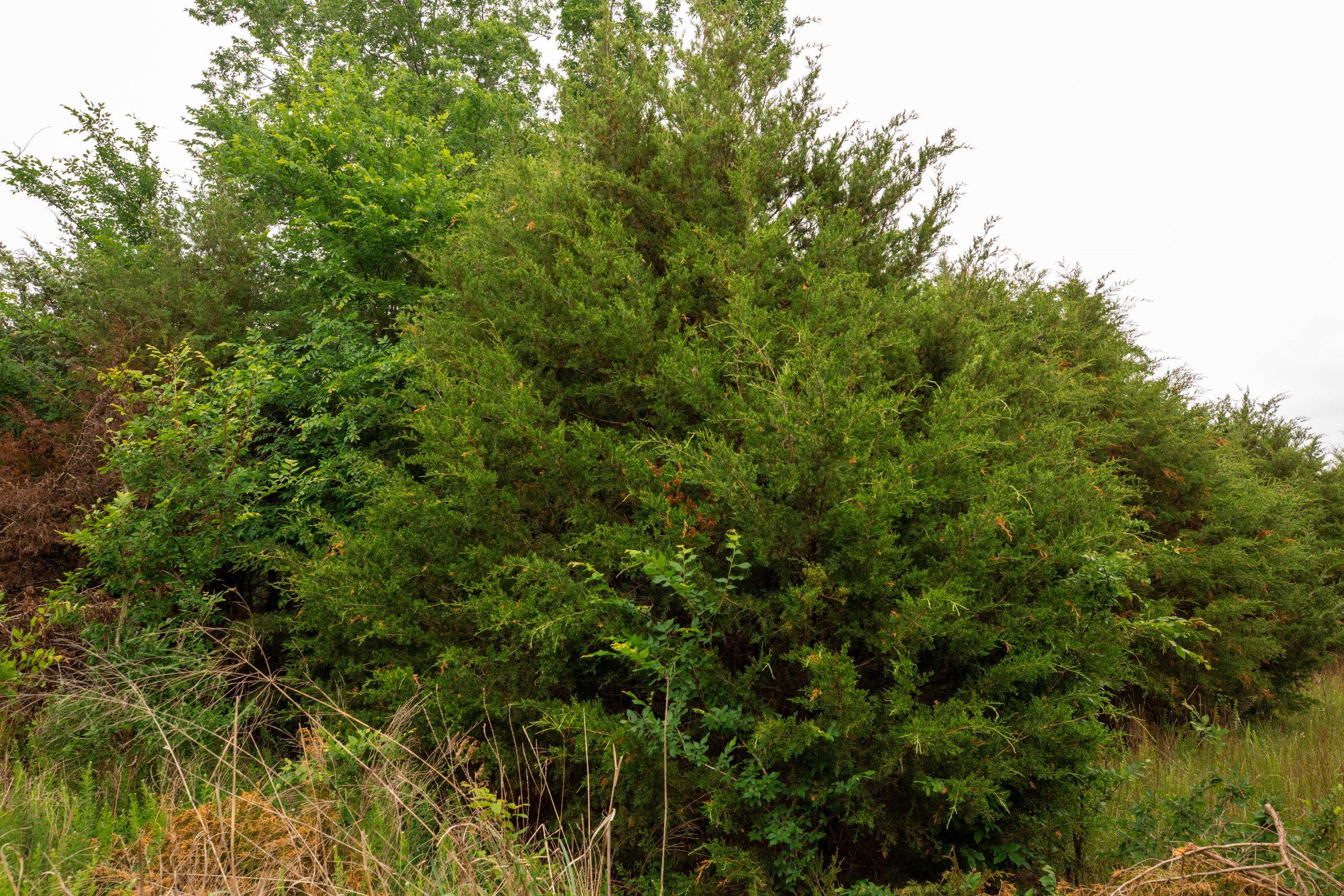 Tract 10 at Moonrise Meadows in Okfuskee County, Oklahoma