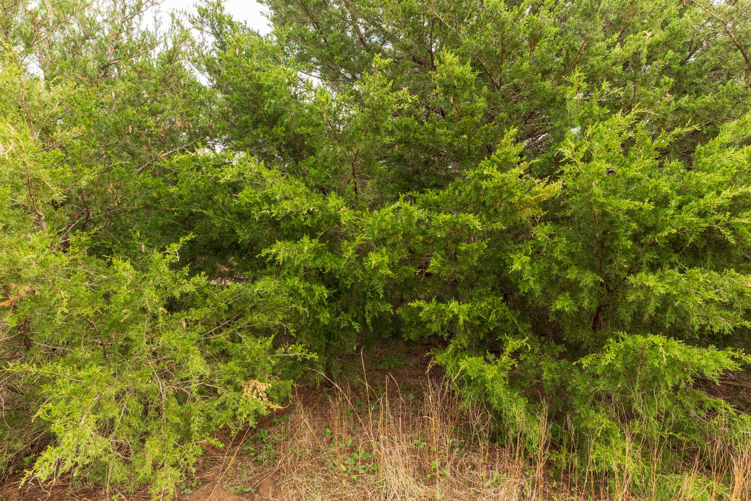 Tract 12 at Moonrise Meadows in Okfuskee County, Oklahoma