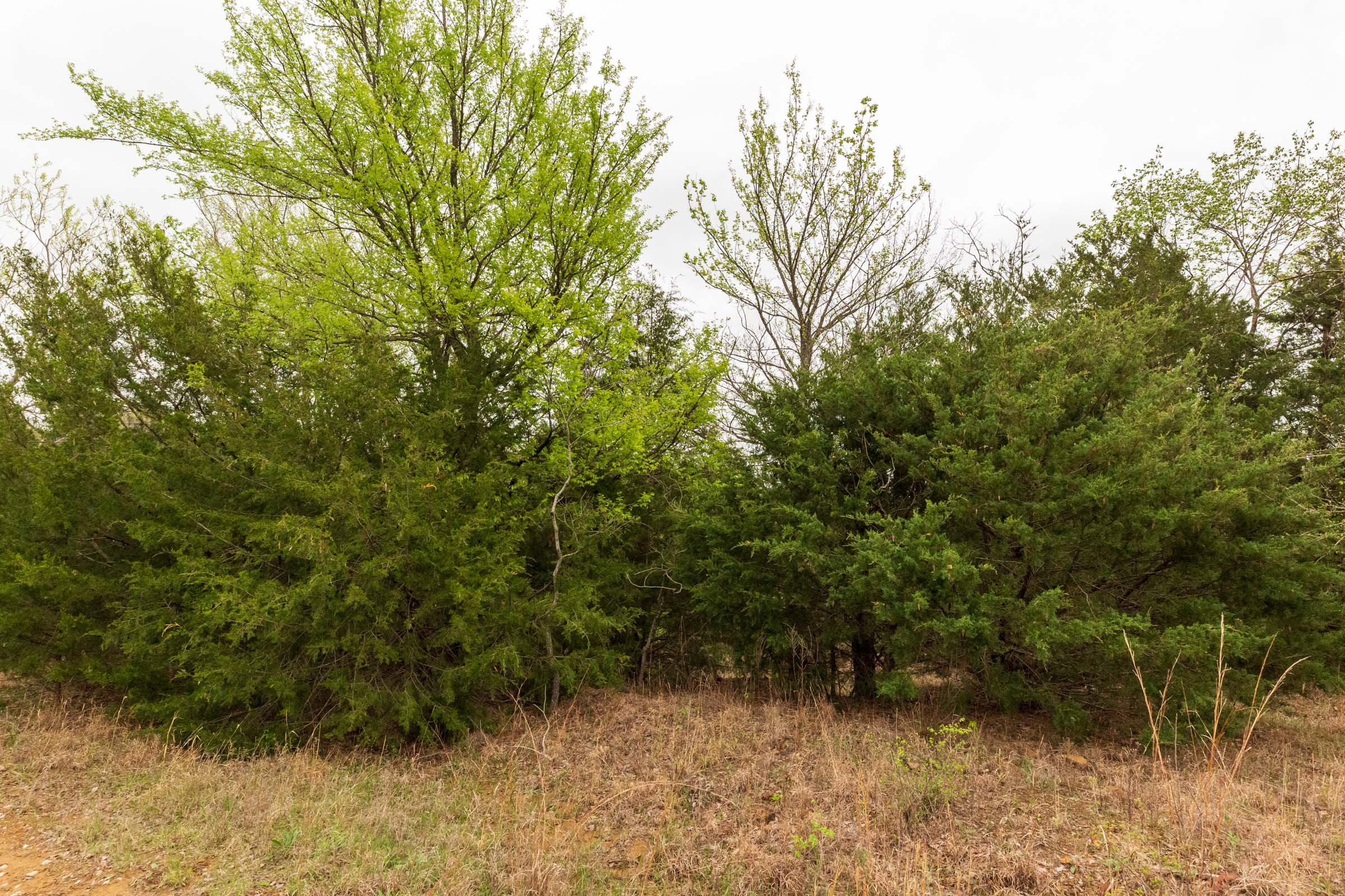 Tract 13 at Moonrise Meadows in Okfuskee County, Oklahoma