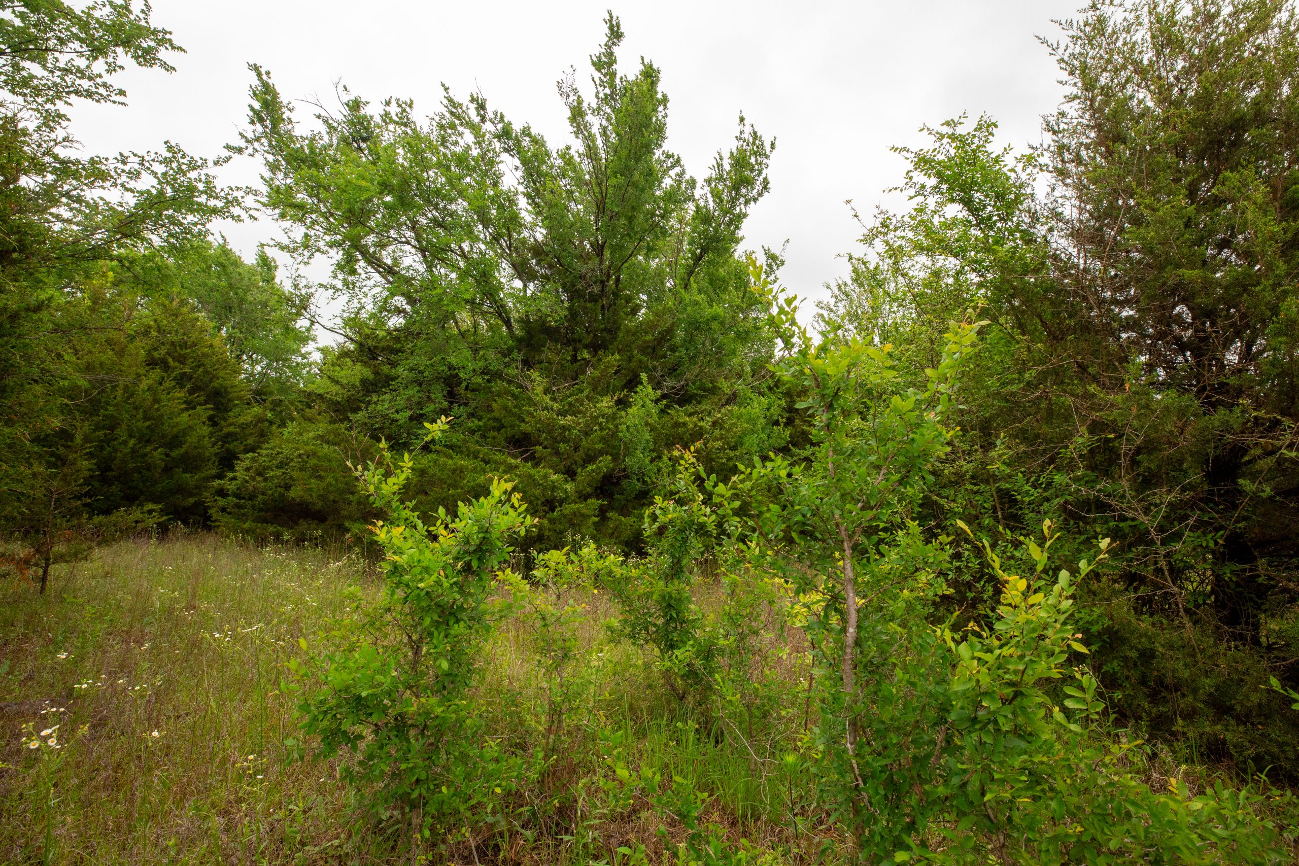Tract 14 at Moonrise Meadows in Okfuskee County, Oklahoma
