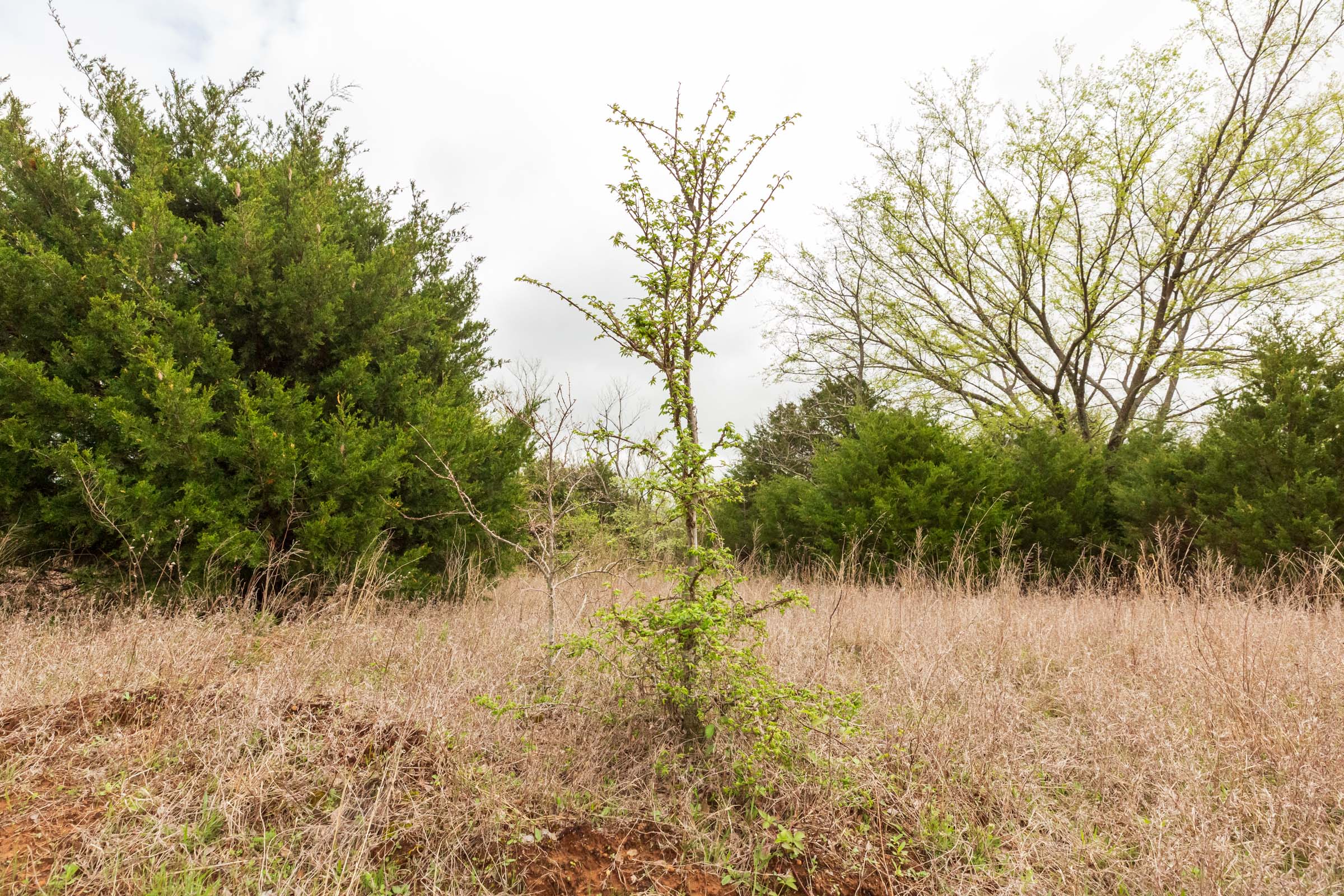 Tract 15 at Moonrise Meadows in Okfuskee County, Oklahoma