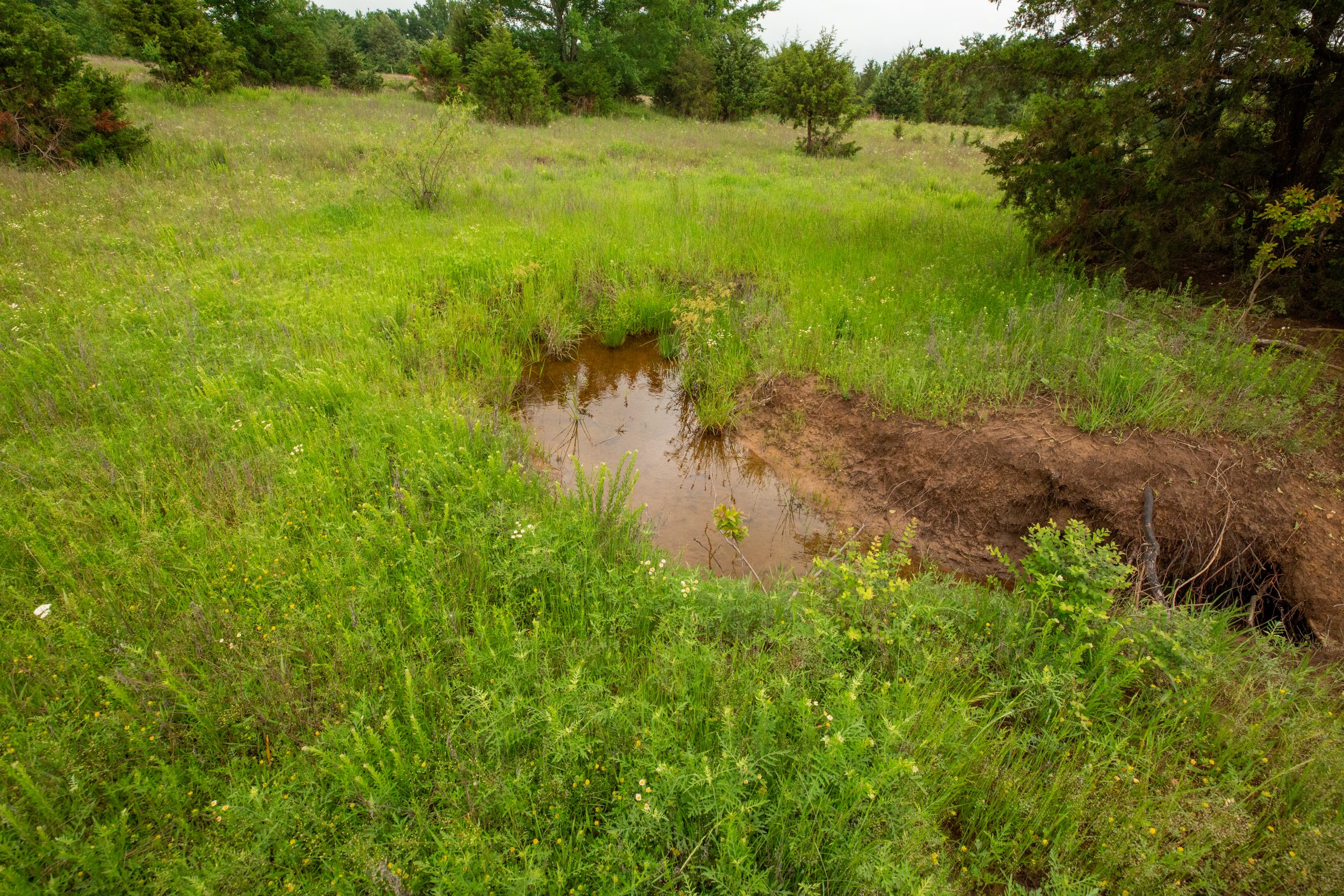 Tract 18 at Moonrise Meadows in Okfuskee County, Oklahoma