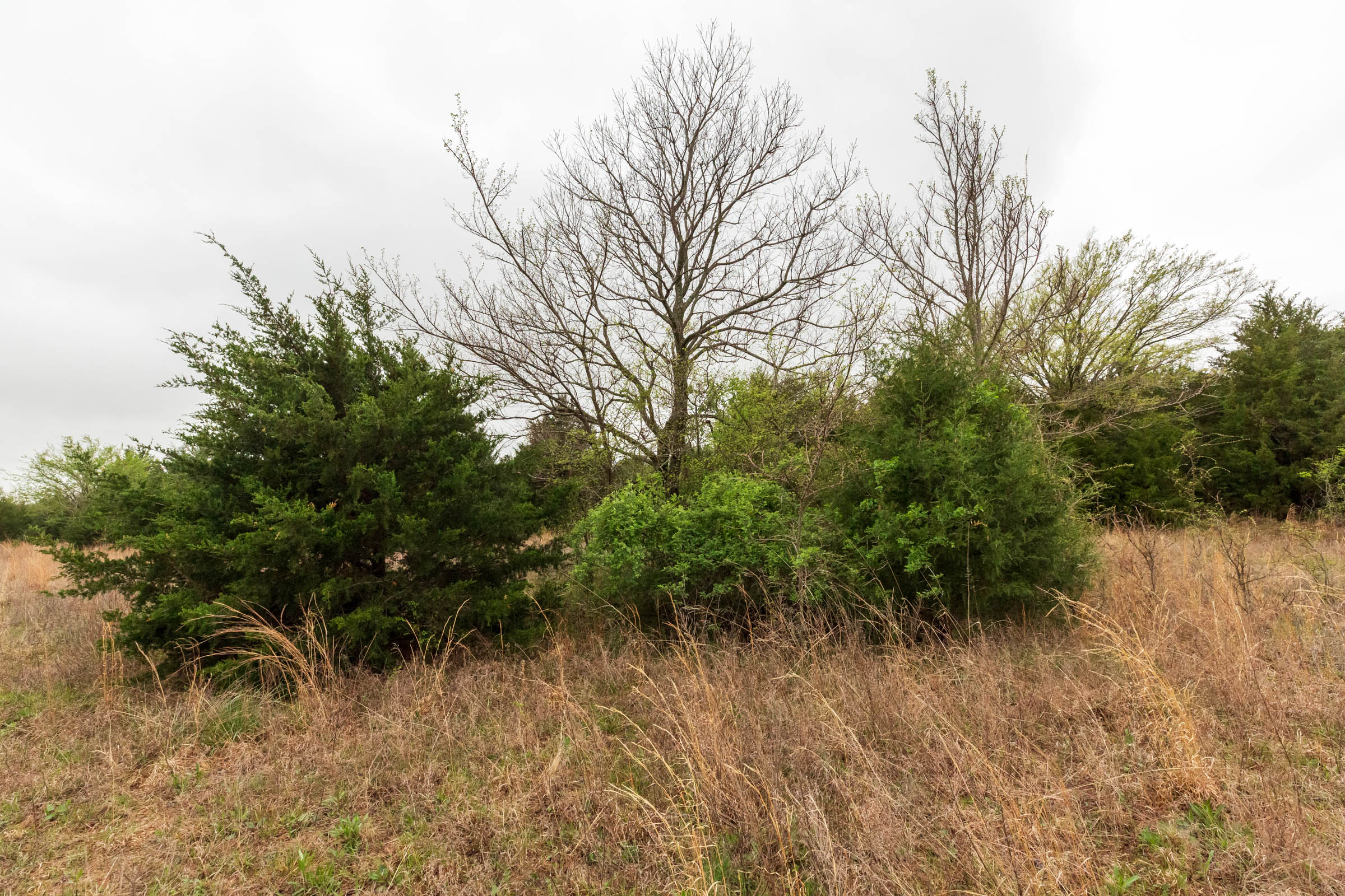 Tract 2 at Moonrise Meadows in Okfuskee County, Oklahoma