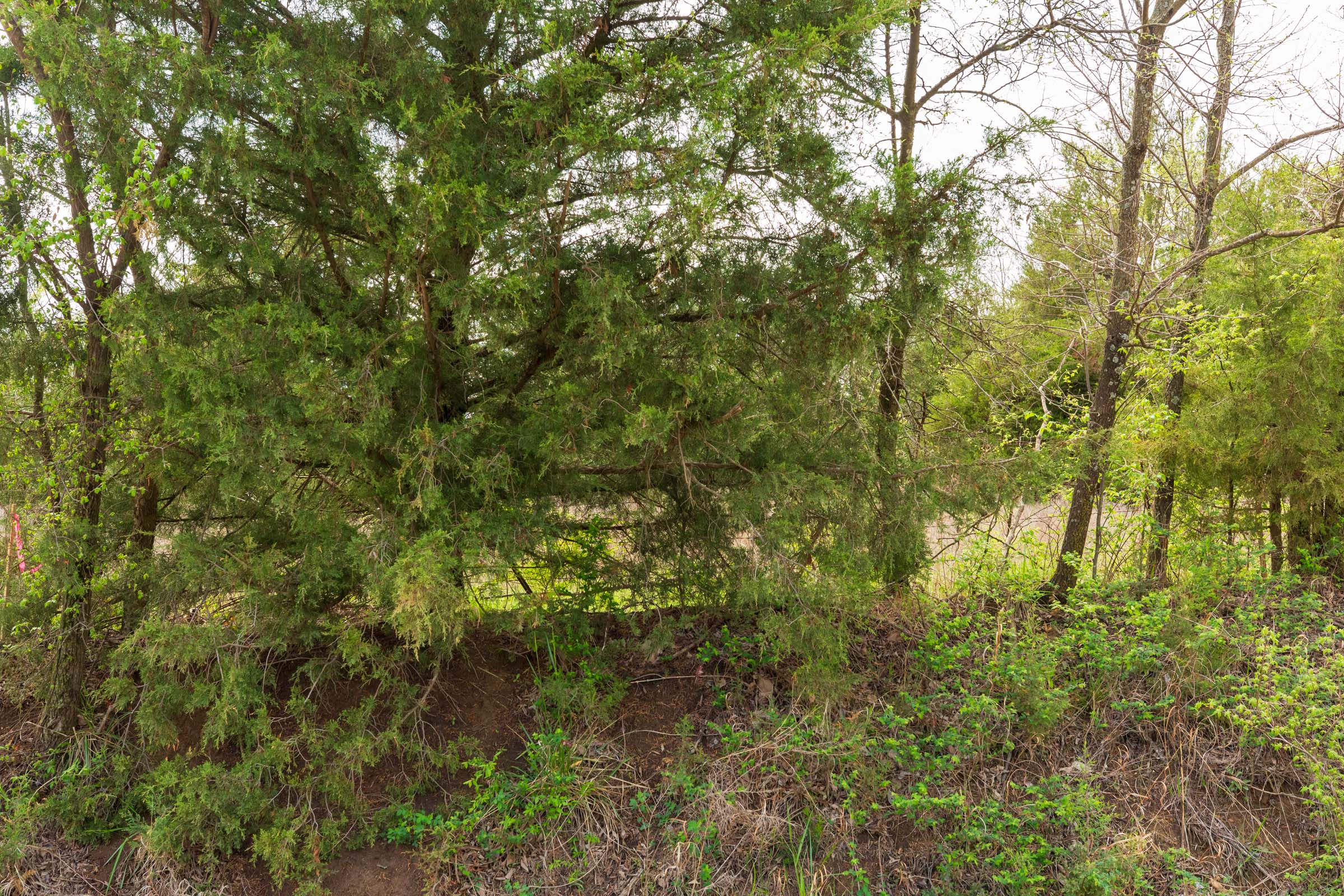Tract 22 at Moonrise Meadows in Okfuskee County, Oklahoma