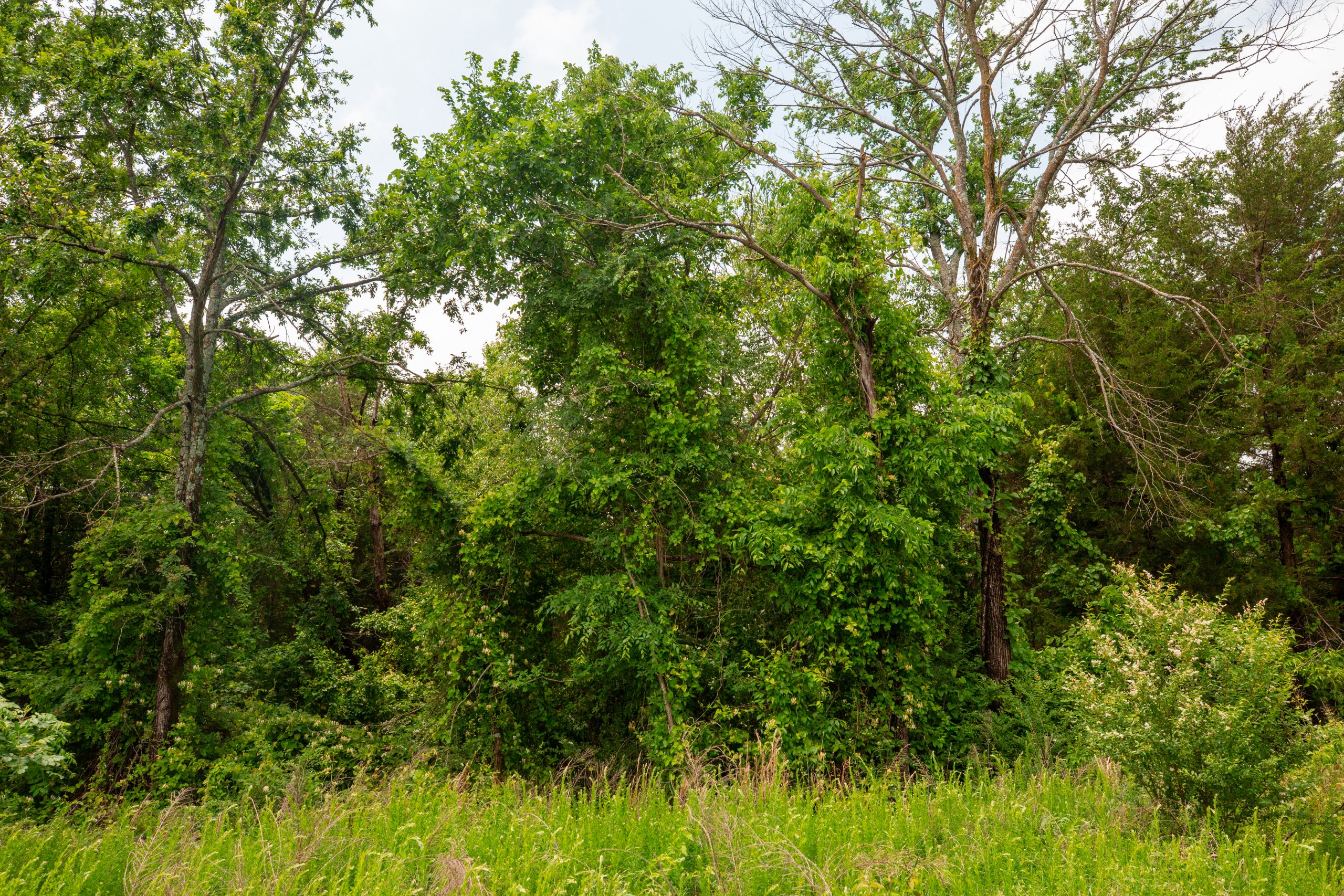 Tract 23 at Moonrise Meadows in Okfuskee County, Oklahoma