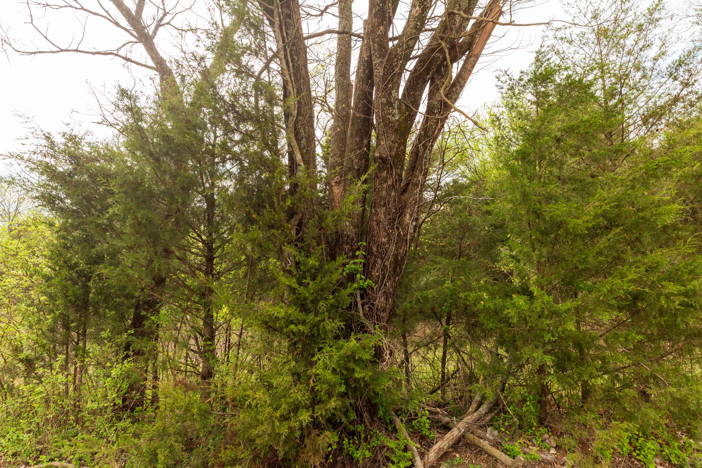 Tract 24 at Moonrise Meadows in Okfuskee County, Oklahoma