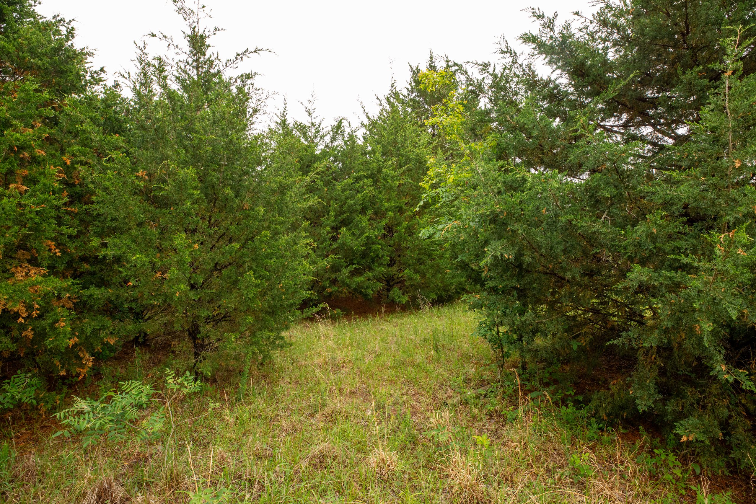 Tract 3 at Moonrise Meadows in Okfuskee County, Oklahoma