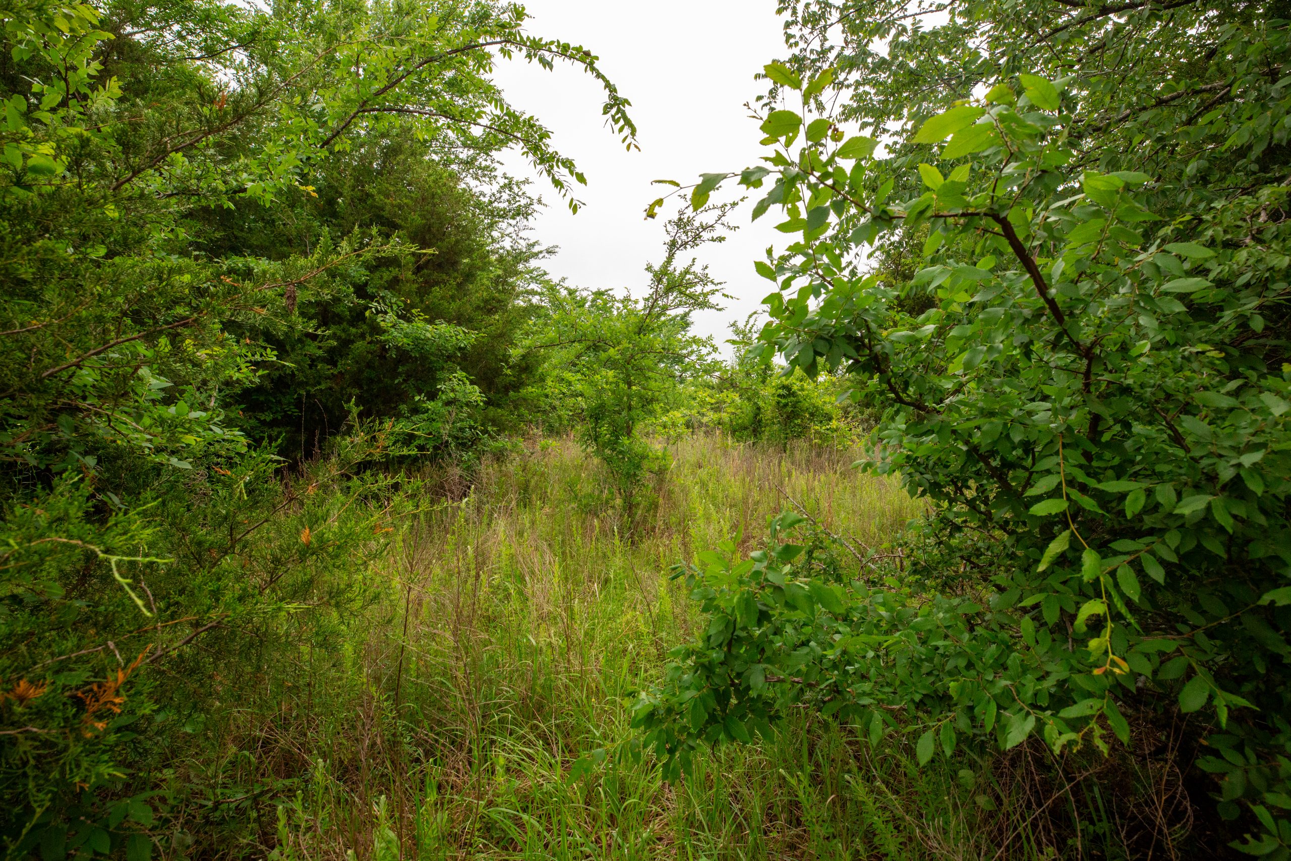 Tract 6 at Moonrise Meadows in Okfuskee County, Oklahoma