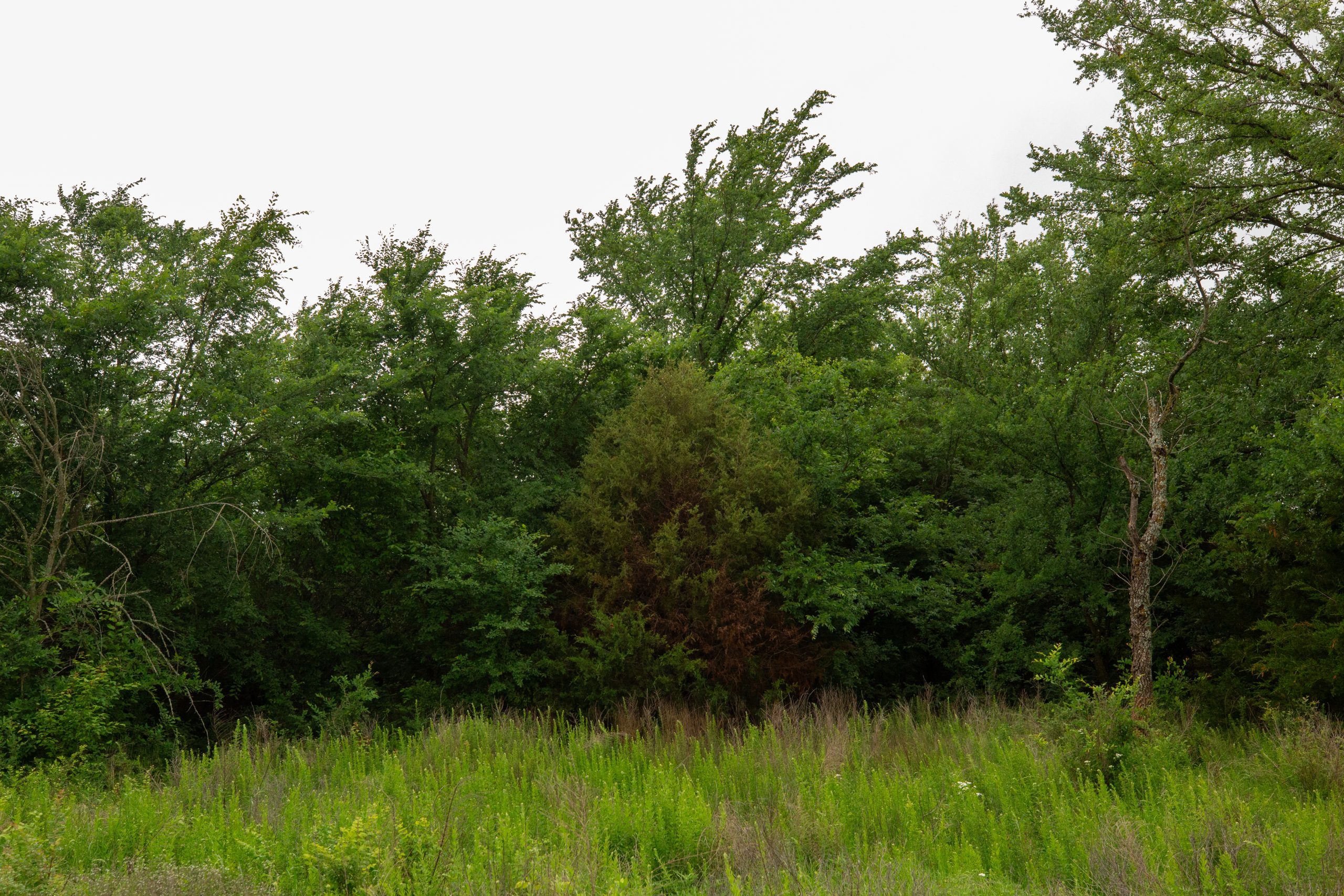 Tract 7 at Moonrise Meadows in Okfuskee County, Oklahoma